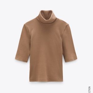 Zara Ripped Turtle Neck